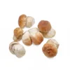 Frozen Porcini Mushrooms