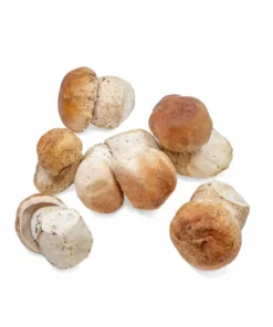 Frozen Porcini Mushrooms