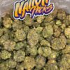 Oreoz Strain