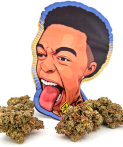 Strawberry Champagne Dutt Pack Weed Pound Bag (448g)