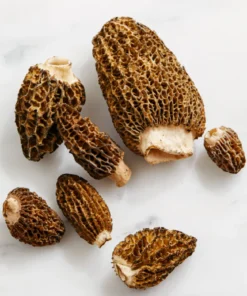 Frozen Morel Mushrooms