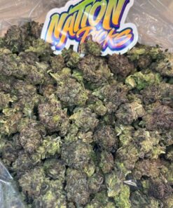 Gummy Gelato